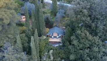 Nestled among dense, green trees, a cozy wooden cabin with a spacious deck sits in tranquil seclusion, surrounded by nature and tall coniferous trees. Peaceful retreat.