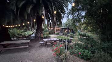 Una acogedora escena de jardín al aire libre con guirnaldas de luces, mesas de picnic, una hamaca, una exuberante vegetación, flores en flor y una casita al fondo, lo que crea un ambiente relajante.
