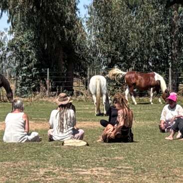 Un grupo de personas está sentado en la hierba de un prado soleado, frente a unos caballos que pastan cerca de una valla, rodeados de árboles altos y de la tranquilidad de la naturaleza.