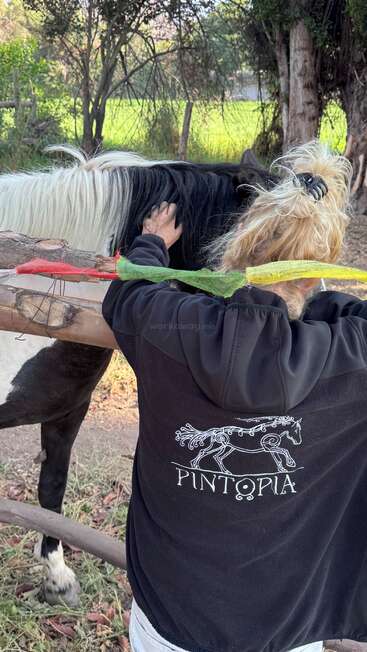 Una persona rubia con el pelo recogido en una coleta, que lleva una chaqueta con la inscripción «PINTOPIA», acaricia suavemente a un caballo blanco y negro junto a una valla de madera al aire libre.