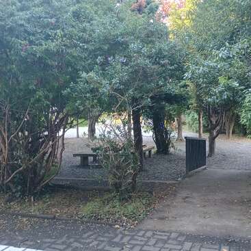 A peaceful park scene with lush green trees, a gravel path, benches beneath the foliage, and a sidewalk leading through the tranquil, shaded outdoor area.