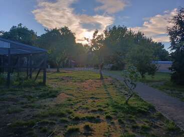The image depicts a peaceful yard at sunset, with trees casting long shadows, a dirt path, and a simple wooden structure on the left side. Serenity everywhere.