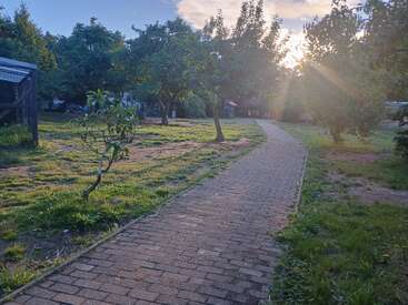 A brick pathway winds through a peaceful park with green grass, trees, and sunlight shining through branches, creating a serene atmosphere in the early evening.