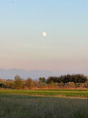 L'image représente un paysage serein avec une pleine lune, des arbres et un champ, avec en arrière-plan une chaîne de montagnes brumeuse.