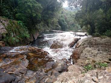 A serene river flows gently over smooth rocks, surrounded by lush green forest. The water sparkles, creating a peaceful, natural scene perfect for relaxation.