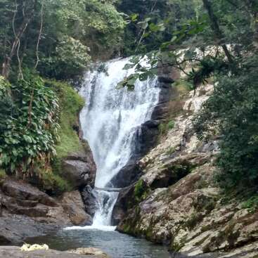 Ein wunderschöner Wasserfall stürzt in Kaskaden die felsigen Klippen hinunter, die von üppigem grünen Laub umgeben sind, und bildet unten einen ruhigen natürlichen Pool, der in einem dichten Wald eingebettet ist.