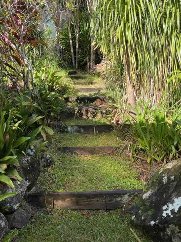 Ein üppiger Gartenweg mit Holzstufen, umgeben von dichten grünen Pflanzen und Bäumen. Das Sonnenlicht fällt durch das Laub und schafft eine ruhige, einladende natürliche Atmosphäre.