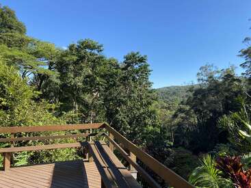 Von der Holzterrasse aus hat man einen tollen Blick auf einen üppig grünen Wald mit dichten Bäumen unter einem strahlend blauen Himmel, was eine ruhige und friedliche Naturlandschaft schafft, die perfekt zum Entspannen ist.
