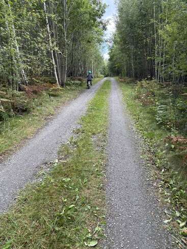 Ein Schotterweg führt durch einen üppigen grünen Wald. Eine Person mit einem Helm fährt auf einem Fahrrad davon, umgeben von hohen Bäumen und der Ruhe der Natur.