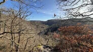 Leafless trees frame a vast landscape of rolling hills under a clear blue sky. Sunlight illuminates branches, while distant valleys appear peaceful and serene.