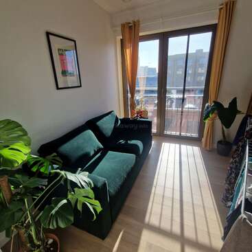 La lumière du soleil traverse de grandes portes vitrées avec des rideaux jaunes sur un canapé en velours vert, des plantes d'intérieur et un sol en bois clair dans une pièce moderne et confortable.