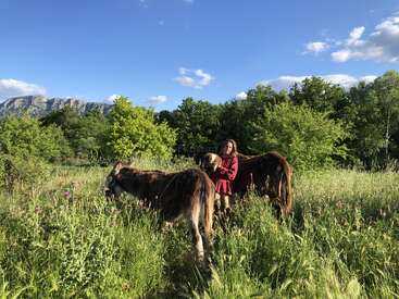 A person in a red dress stands in a lush green field with two donkeys. Trees, mountains, and a bright blue sky complete the scenic landscape.