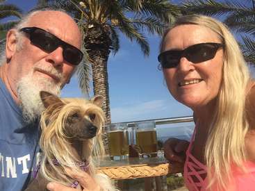 A imagem mostra um homem, uma mulher e um cachorro posando para uma selfie em frente a palmeiras e uma mesa com duas canecas de cerveja.