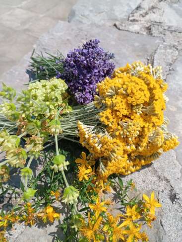 Un bouquet vibrant de fleurs sauvages fraîchement cueillies : des fleurs jaunes, vertes et violettes reposent sur une surface en pierre, profitant de la lumière éclatante du soleil en plein air.