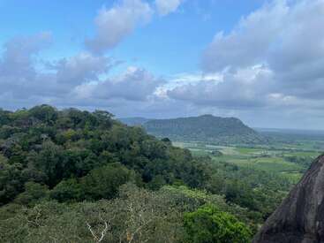 Das Bild zeigt eine ruhige Landschaft mit üppigen grünen Bäumen und einer majestätischen Bergkette vor einem blauen Himmel mit weißen Wolken.