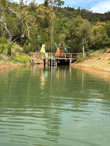 Un embarcadero de madera con una sombrilla y sillas se encuentra junto a un lago tranquilo de aguas verdosas, rodeado de frondosos árboles y vegetación, ideal para relajarse en paz.
