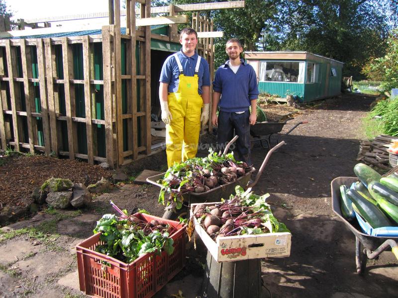 Organic smallholding in Scotland
