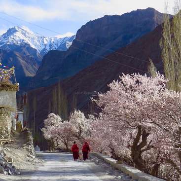 Help Us Connect With The Local Community To Preserve Local Heritage And Culture In Ladakh India Tourism is one of an economic contributor to the union territory of ladakh in northern india. in ladakh india