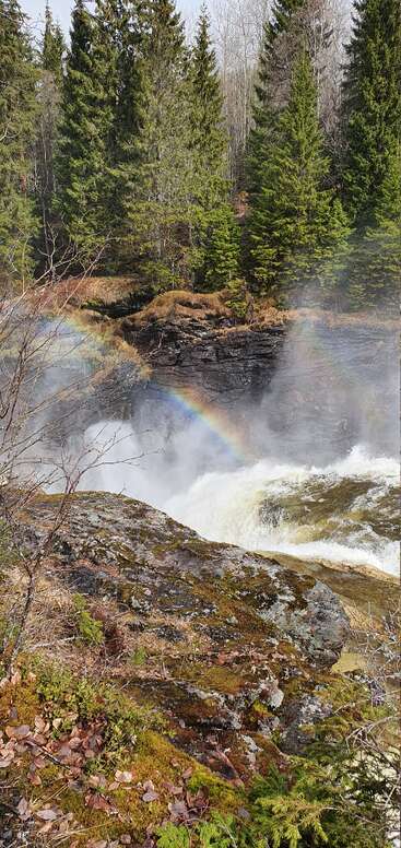 The image depicts a serene waterfall scene, featuring a vibrant rainbow, lush trees, and a rocky cliffside, with a misty atmosphere and a sense of natural beauty.