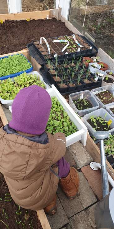 The image depicts a person in a brown coat and purple hat tending to various plants in containers, showcasing a serene and nurturing atmosphere.