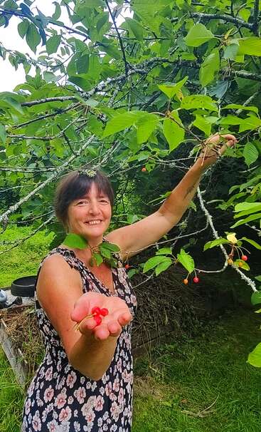 A smiling woman stands under a leafy tree, picking cherries. She proudly presents a handful of cherries, wearing a floral dress, surrounded by lush greenery.