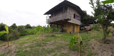 A rustic two-story house made of bamboo and yellow walls sits on a grassy hill, surrounded by banana plants, trees, and lush green vegetation.