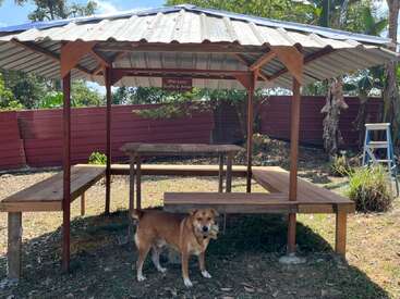 Un chien brun se tient sous un kiosque en bois muni de bancs et d'un toit en tôle. On aperçoit un panneau au-dessus de lui, ainsi qu'une clôture rouge et des plantes à l'arrière-plan.