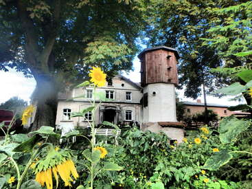 L'image représente une charmante maison avec une tour, entourée de tournesols éclatants et de verdure luxuriante, dans un ciel bleu serein.