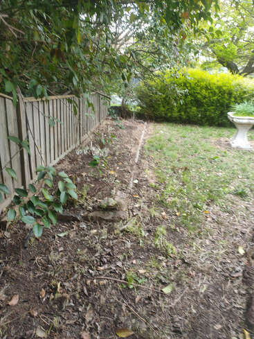 The image depicts a serene backyard scene, featuring a wooden fence, lush greenery, and a birdbath, with a grassy area and a dirt patch in the foreground.