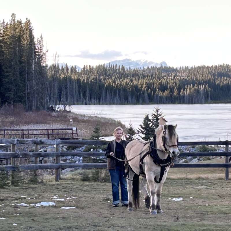 A imagem mostra uma mulher ao lado de um cavalo em um campo cercado, com um lago sereno e montanhas arborizadas ao fundo em um dia ensolarado.