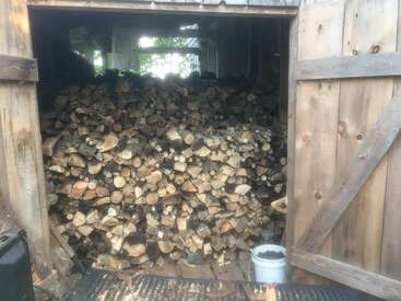 A large stack of chopped firewood fills a wooden shed. The doors are open, with a white bucket on the ground in front. Sunlight shines through.