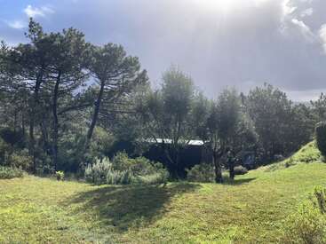 La lumière du soleil traverse un ciel nuageux, éclairant un champ herbeux entouré de grands arbres luxuriants et d'une verdure dense, avec un bâtiment caché partiellement visible. Nature paisible.