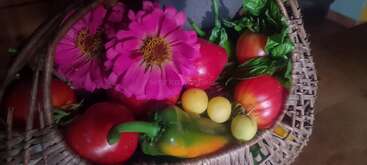 Ein geflochtener Korb, gefüllt mit farbenfrohen Produkten: rosafarbene Blumen, rote Tomaten, gelbe Kirschtomaten, grüne Paprika und frisches Blattgemüse, schön arrangiert für eine rustikale Präsentation.