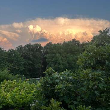 Lush green trees fill the foreground, while dramatic, glowing clouds illuminated by the setting sun dominate the sky, creating a beautiful and serene natural scene.