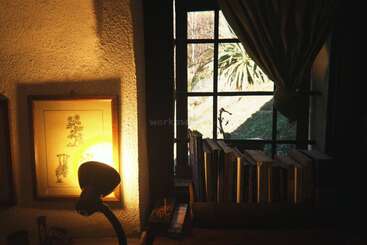 A cozy reading nook with a lamp illuminating botanical art, books lined by a window. Sunlight filters through the curtain, revealing greenery and peaceful outdoor scenery.