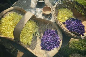 Two wicker baskets filled with freshly picked yellow and purple flowers rest on a rustic wooden table outdoors, capturing a sunny, serene, and natural countryside setting.
