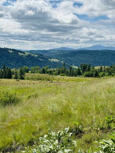 Rolling green hills stretch into the distance, dotted with trees and shrubs. Dramatic clouds float above a lush landscape, bordered by forested mountains under a blue sky.