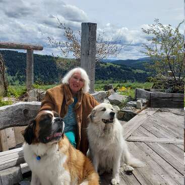 La imagen muestra a una anciana sentada en una terraza de madera con dos perros grandes, en un pintoresco paisaje de colinas y árboles.