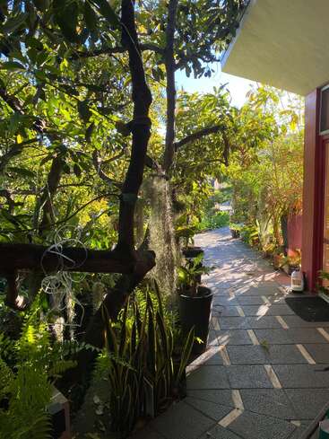 Sunlight filters through lush greenery onto a tiled garden pathway beside a house. Potted plants, ferns, and hanging moss create a tranquil, refreshing outdoor scene.