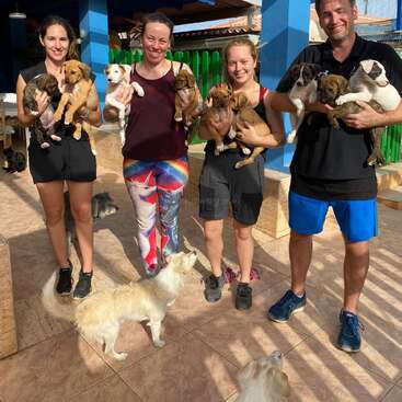 Four smiling adults stand outside, each holding multiple adorable puppies. Two dogs on the ground look up at them. It’s a joyful, sunny, heartwarming moment.