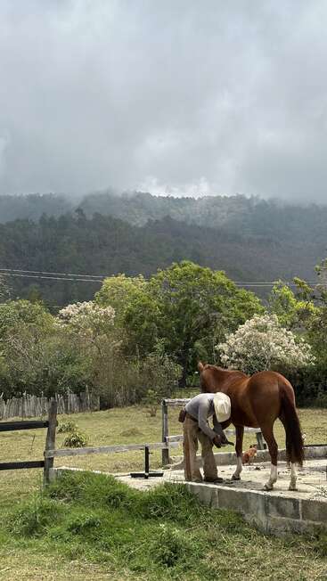 Un homme coiffé d'un chapeau nettoie le sabot d'un cheval à l'extérieur. Des arbres verdoyants et des montagnes brumeuses composent un décor naturel et paisible en pleine campagne.