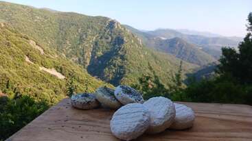 Six rounds of artisanal cheese sit on a wooden board, with a breathtaking view of lush, green mountains and valleys stretching into the distance.