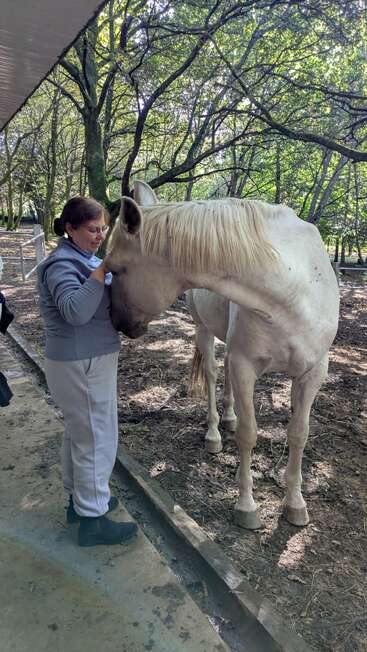 A woman in gray gently pets a white horse under the trees, sharing a calm and affectionate moment in a peaceful outdoor, wooded setting.