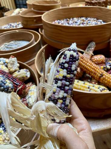 A hand holds a colorful ear of heirloom corn, surrounded by baskets filled with multicolored corn cobs and kernels, showcasing a vibrant harvest display.