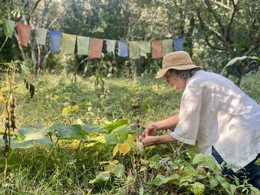 A woman wearing a straw hat and white shirt tends to a lush garden, with colorful prayer flags hanging between trees in the peaceful, sunlit background.