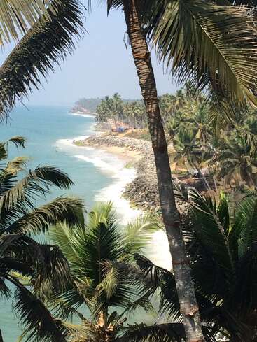 The image depicts a serene tropical beach scene, featuring palm trees, a rocky shoreline, and a tranquil ocean, with a hazy blue sky in the background.