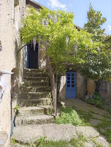 Eine alte Steintreppe führt an einem blühenden Glyzinienbaum vorbei und wirft fleckigen Schatten auf einen rustikalen Innenhof mit einer blauen Tür und üppigem Grün.