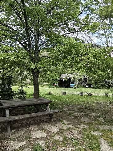 Eine friedliche Szene im Freien mit einem hölzernen Picknicktisch unter einem grünen, belaubten Baum, einem Steinweg, einer Rasenfläche, Baumstümpfen und einem rustikalen Gebäude im Hintergrund.