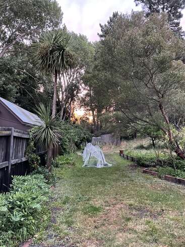 A peaceful garden scene at sunset, with tall trees, greenery, a wooden fence, a shed, and protective garden netting over plants in the grassy path.