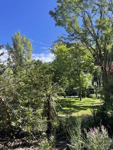 A lush green garden bathed in sunlight, featuring various trees and plants, bright blue sky, vibrant grass, scattered flowers, peaceful, and inviting natural scenery.